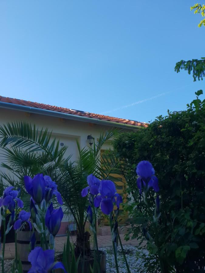 Fuered Deluxe Garden Apartment Balatonfüred Екстериор снимка